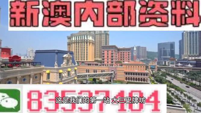 新澳門(mén)資料大全正版資料2024，數(shù)據(jù)導(dǎo)向?qū)嵤┎襟E_進(jìn)階款47.9.65