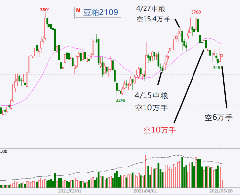 美豆粕期貨行情分析與展望，最新市場動態(tài)及趨勢預測