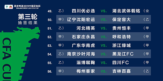 2024新澳門(mén)全年九肖資料，最佳精選解釋落實(shí)_HD28.27.36