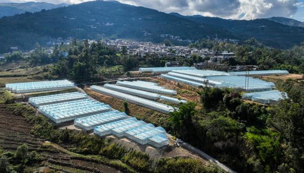 鳳慶縣概覽，最新消息與概述