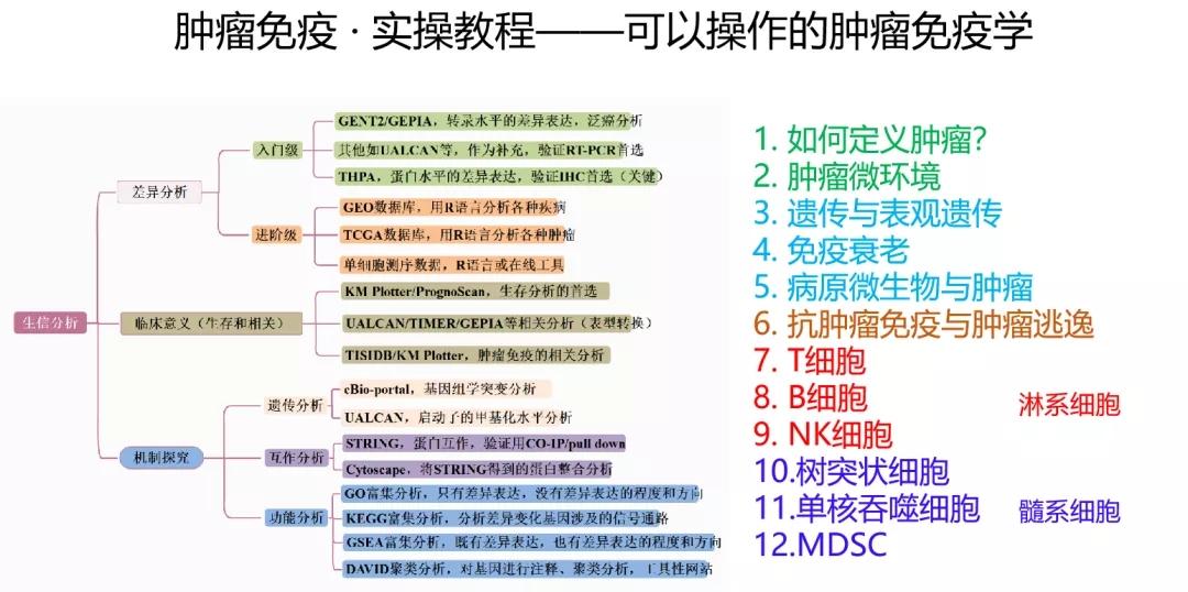 2024年正版資料免費,植物保護_至人CXB724.52