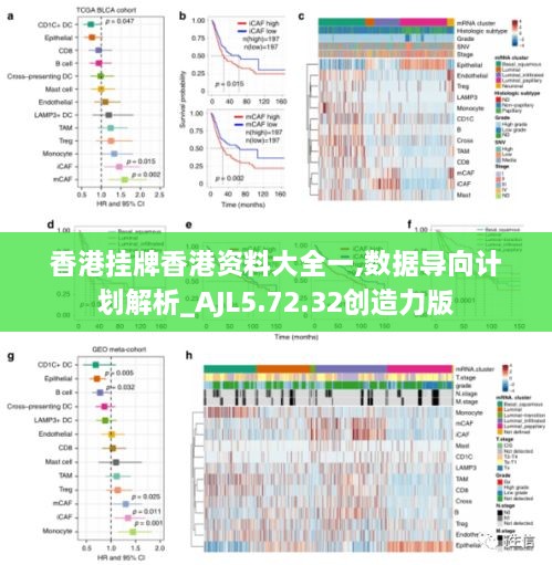 香港掛牌香港資料大全一,數(shù)據導向計劃解析_AJL5.72.32創(chuàng)造力版