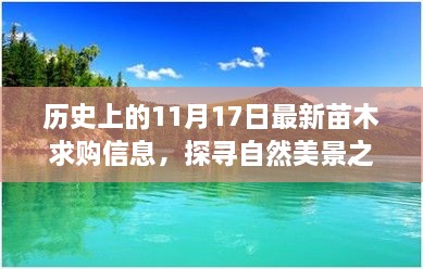 探尋自然美景之旅，歷史上的日子與今日苗木求購信息交匯點(diǎn)