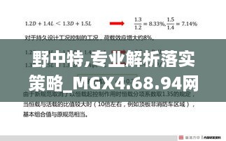 野中特,專業(yè)解析落實策略_MGX4.68.94網(wǎng)絡(luò)版