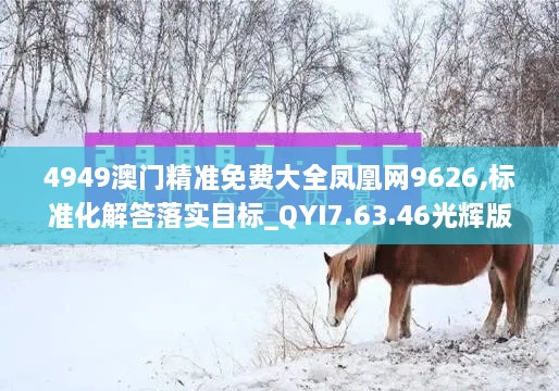 4949澳門精準(zhǔn)免費大全鳳凰網(wǎng)9626,標(biāo)準(zhǔn)化解答落實目標(biāo)_QYI7.63.46光輝版