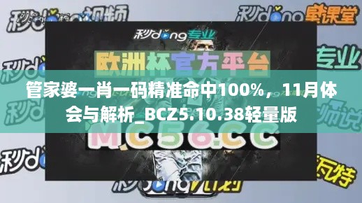 管家婆一肖一碼精準(zhǔn)命中100%，11月體會與解析_BCZ5.10.38輕量版