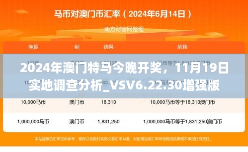 2024年澳門特馬今晚開獎，11月19日實地調(diào)查分析_VSV6.22.30增強版