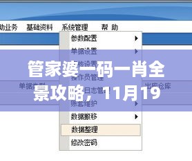 管家婆一碼一肖全景攻略，11月19日實(shí)地計(jì)劃設(shè)計(jì)驗(yàn)證_JSA8.44.26理想版