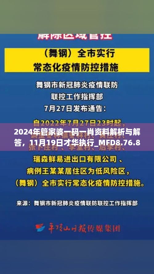 2024年管家婆一碼一肖資料解析與解答，11月19日才華執(zhí)行_MFD8.76.81加速版