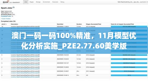 澳門一碼一碼100%精準(zhǔn)，11月模型優(yōu)化分析實施_PZE2.77.60美學(xué)版