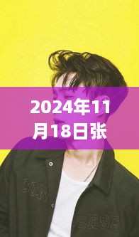 2024年11月18日張藝興壁紙最新圖片，張藝興壁紙新風(fēng)尚，2024年11月18日圖片背后的流行文化探討