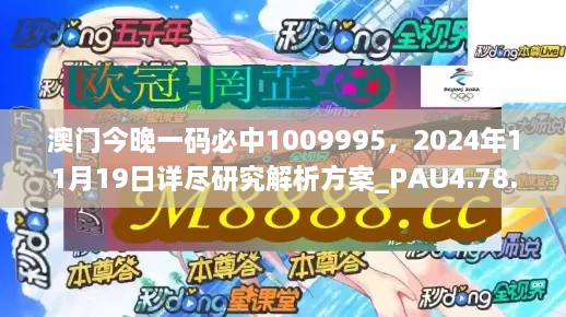 澳門今晚一碼必中1009995，2024年11月19日詳盡研究解析方案_PAU4.78.58文化傳承版