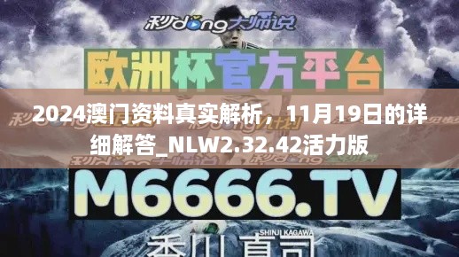 2024澳門資料真實解析，11月19日的詳細(xì)解答_NLW2.32.42活力版