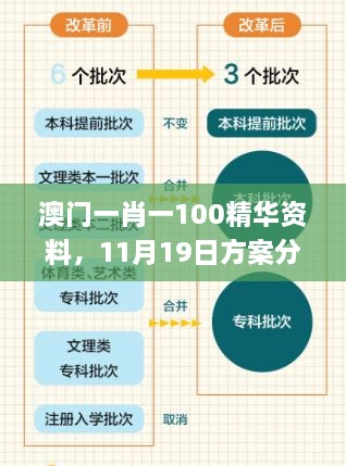 澳門一肖一100精華資料，11月19日方案分析與解讀_PDE3.33.55精選版