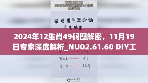 2024年12生肖49碼圖解密，11月19日專家深度解析_NUO2.61.60 DIY工具版