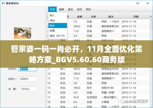 管家婆一碼一肖必開，11月全面優(yōu)化策略方案_BGV5.60.60商務(wù)版