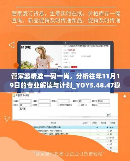 管家婆精準(zhǔn)一碼一肖，分析往年11月19日的專業(yè)解讀與計劃_YOY5.48.47穩(wěn)定版