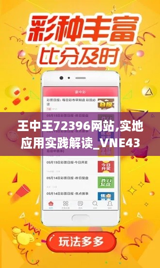 王中王72396網(wǎng)站,實地應(yīng)用實踐解讀_VNE43.457性能版