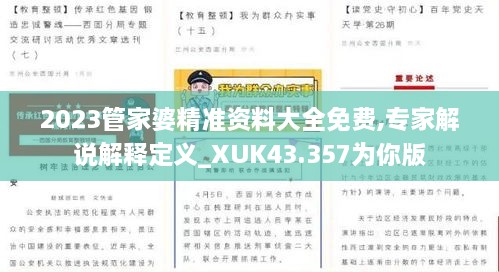 2023管家婆精準資料大全免費,專家解說解釋定義_XUK43.357為你版