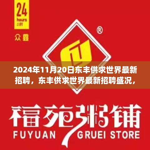 2024年11月20日東豐供求世界招聘盛況，行業(yè)變革與職業(yè)機(jī)遇的聚焦