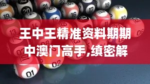 王中王精準(zhǔn)資料期期中澳門高手,縝密解答解釋落實(shí)_定義版GTB8.26