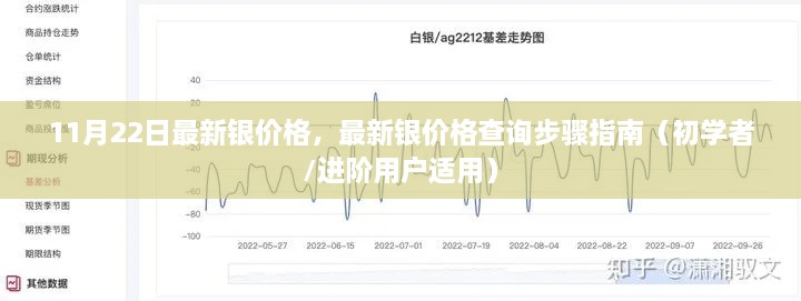 最新銀價(jià)格查詢指南，步驟詳解，適用于初學(xué)者與進(jìn)階用戶（11月22日更新）