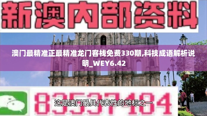 澳門最精準正最精準龍門客棧免費330期,科技成語解析說明_WEY6.42