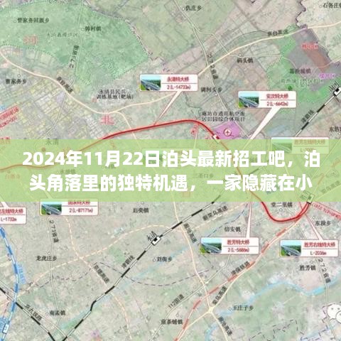 2024年11月22日泊頭最新招工吧，泊頭角落里的獨(dú)特機(jī)遇，一家隱藏在小巷中的特色小店招工記