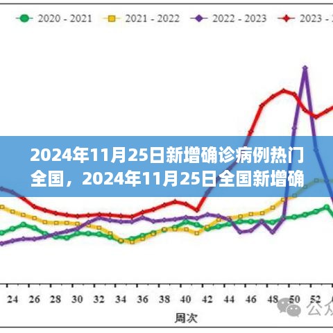 2024年11月25日全國疫情動態(tài)，最新確診病例指南與理解疫情走勢的方法