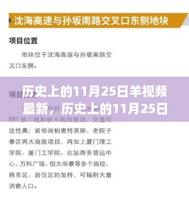 歷史上的11月25日，羊視頻現(xiàn)象背后的故事與影響揭秘