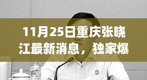 重慶張曉江最新動態(tài)揭秘，11月25日獨家爆料，瞬間驚艷！