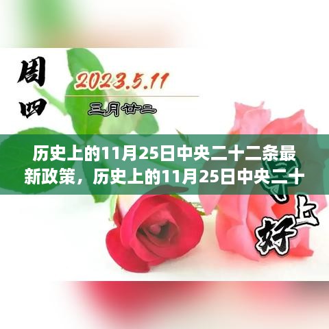 歷史上的11月25日中央二十二條最新政策，歷史上的11月25日中央二十二條最新政策深度解讀