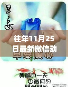 往年11月25日精選微信動(dòng)態(tài)圖片匯總，最新圖片概覽