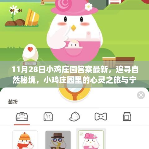 11月28日小雞莊園答案最新，追尋自然秘境，小雞莊園里的心靈之旅與寧靜的擁抱