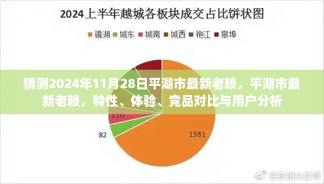 平湖市最新失信人員解析，特性、體驗、競品對比與用戶洞察（預(yù)測至2024年11月）