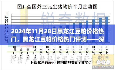 黑龍江豆粕價(jià)格熱門解析，深度剖析豆粕特性、用戶體驗(yàn)與目標(biāo)用戶群體分析報(bào)告