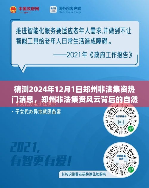 鄭州非法集資風云背后的自然之旅，探尋心靈寧靜秘境的秘境與熱門消息猜測 2024年12月1日最新動態(tài)