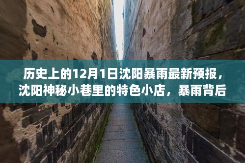 沈陽暴雨背后的神秘小巷寶藏，歷史、最新預(yù)報與特色小店探索