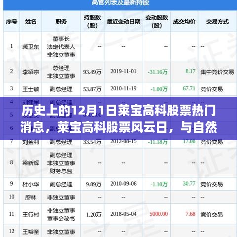 歷史上的12月1日萊寶高科股票熱門(mén)消息，萊寶高科股票風(fēng)云日，與自然美景的奇妙邂逅，心靈旅行的啟程時(shí)刻