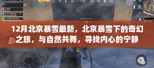 北京暴雪下的奇幻之旅，與自然共舞，探尋內(nèi)心寧靜的旅程