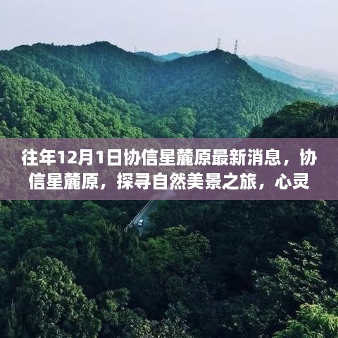 協(xié)信星麓原最新消息，探尋自然美景之旅的心靈港灣