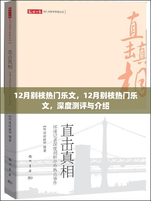 深度測評與介紹，12月別枝熱門樂文