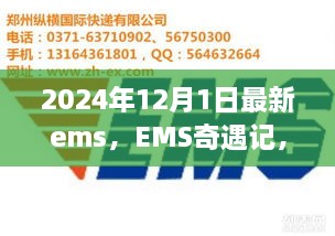 EMS奇遇記，快遞背后的溫暖故事揭秘，2024年12月最新篇章