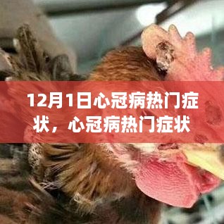 心冠病熱門癥狀深度解析，背景、事件與影響（最新更新）