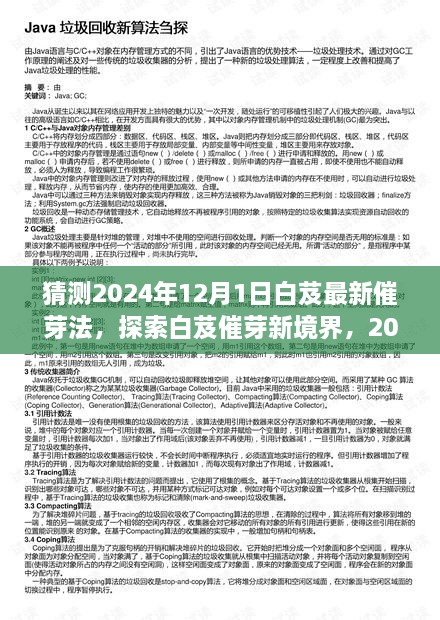 探索白芨催芽新境界，2024年白芨最新催芽法完全指南（適合初學(xué)者與進(jìn)階用戶）