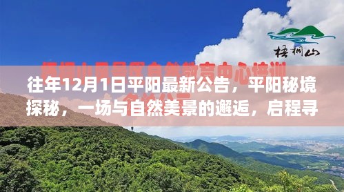 平陽秘境探秘之旅，與自然美景的邂逅，尋找寧靜之地啟程