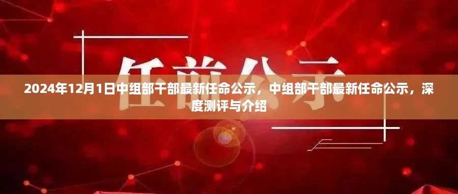 中組部干部最新任命公示深度測評(píng)與介紹，2024年任命名單揭曉