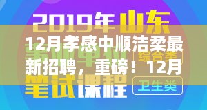 孝感中順潔柔12月最新招聘啟事，職場新星挑戰(zhàn)，崗位空缺等你來填補