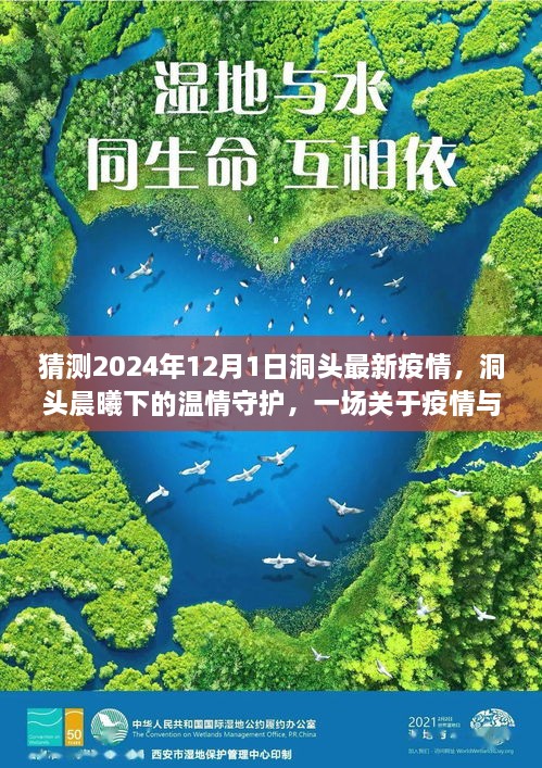 洞頭晨曦下的溫情守護，疫情與友情的日常故事預測至2024年12月1日