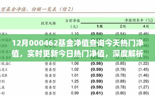 12月000462基金凈值查詢今天熱門凈值，實時更新今日熱門凈值，深度解析12月000462基金凈值查詢